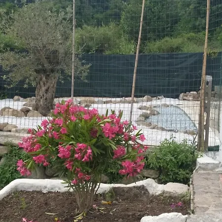 Bilocale La Tezia Appartamento Marciana Marina (Isola d'Elba)